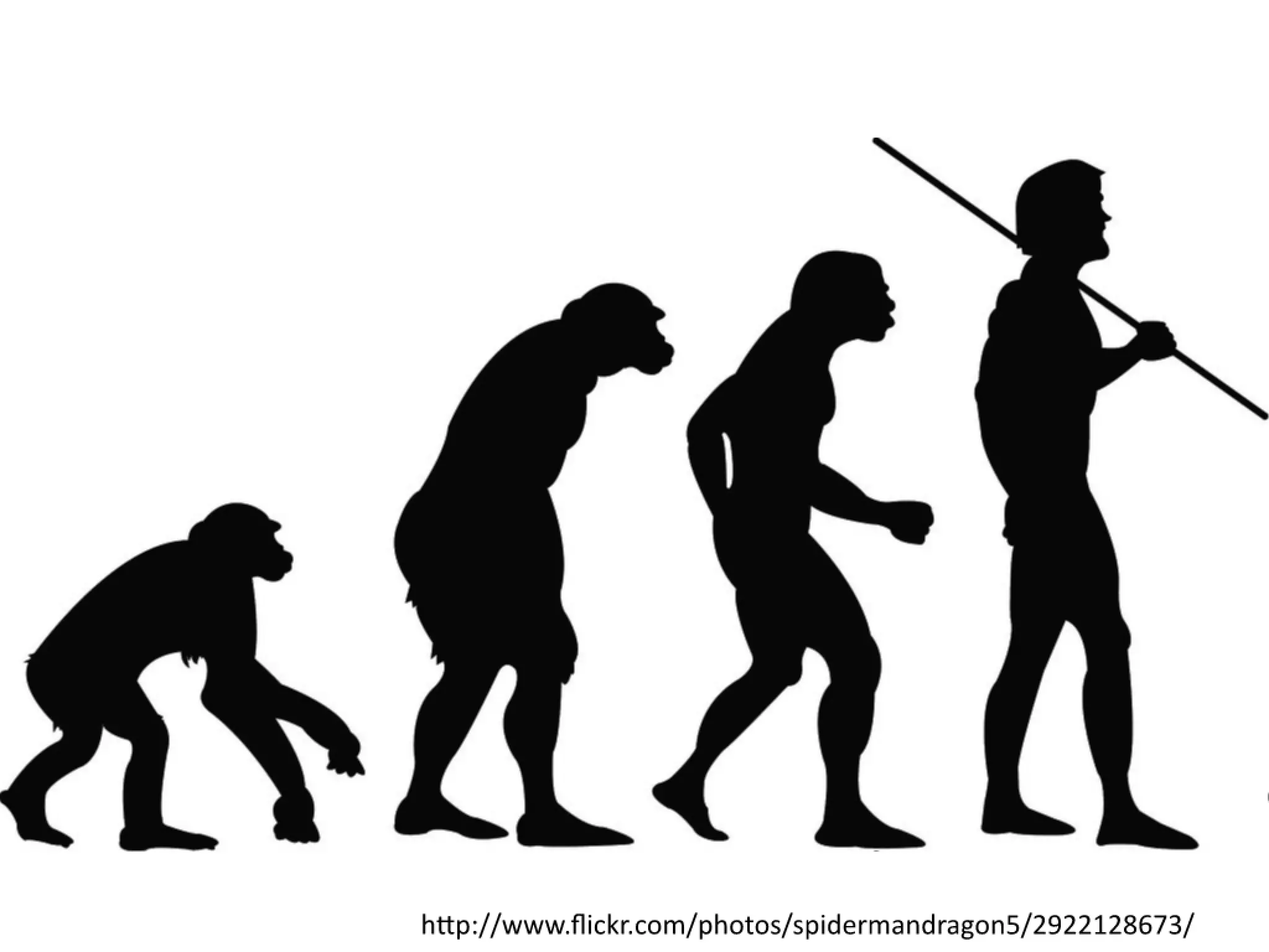 Slides from a lecture at Concordia's Desautels school of management