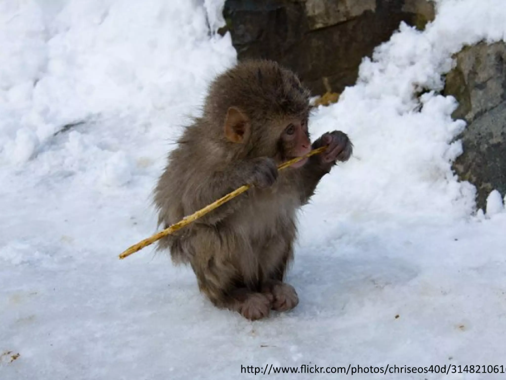 Slides from a lecture at Concordia's Desautels school of management