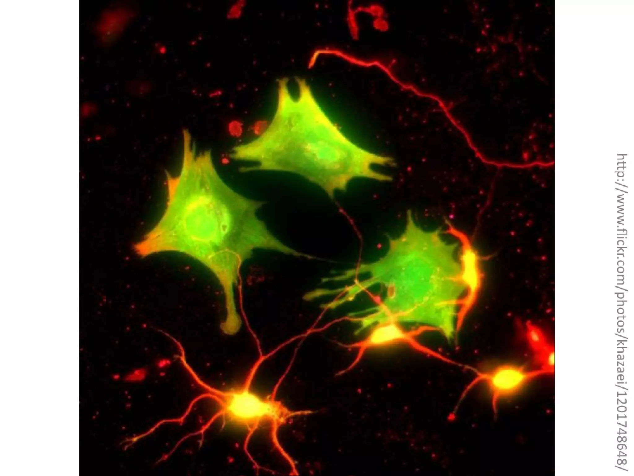 Slides from a lecture at Concordia's Desautels school of management