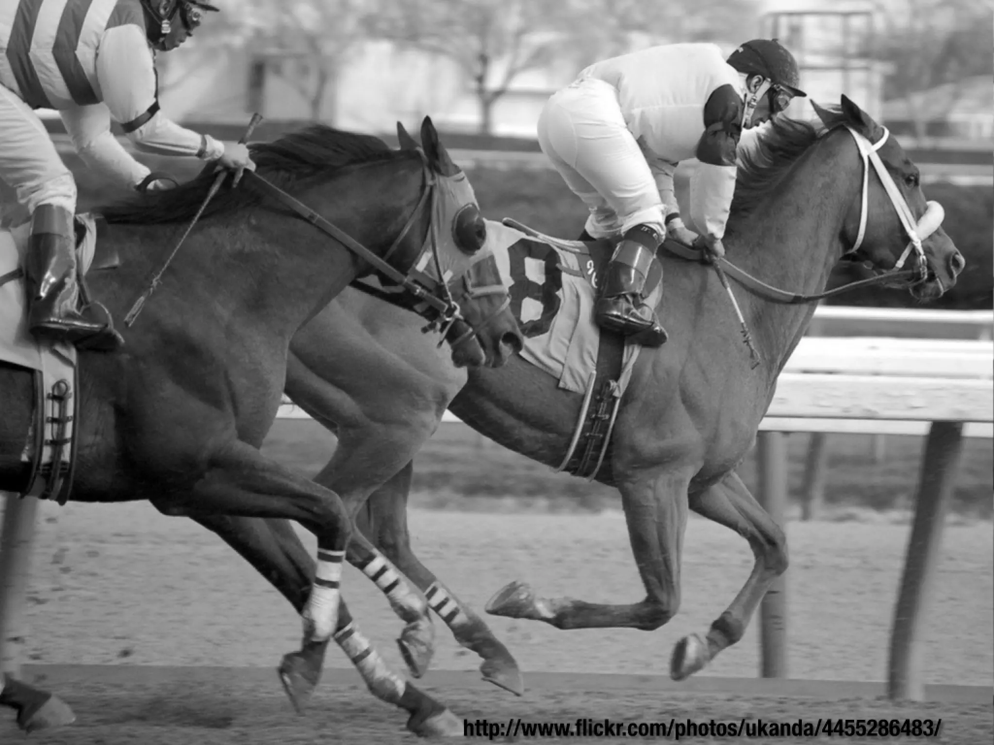 Slides from a lecture at Concordia's Desautels school of management