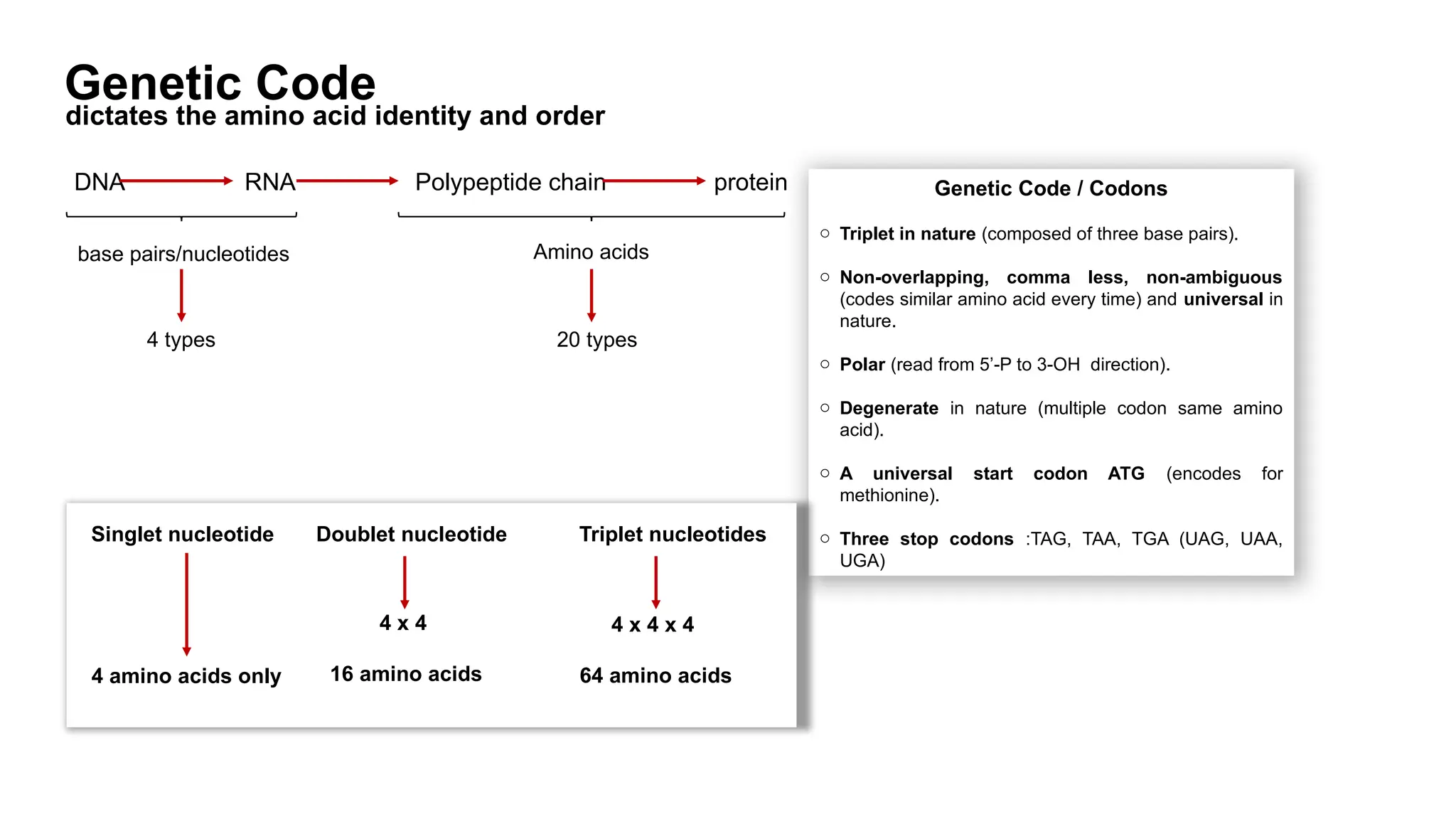 Slides for Introductory Biology phase-1.pptx
