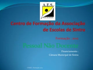 Formação : 2012

Pessoal Não Docente
                                  Financiamento :
                         Câmara Municipal de Sintra




 CFAES - Formação 2012
 
