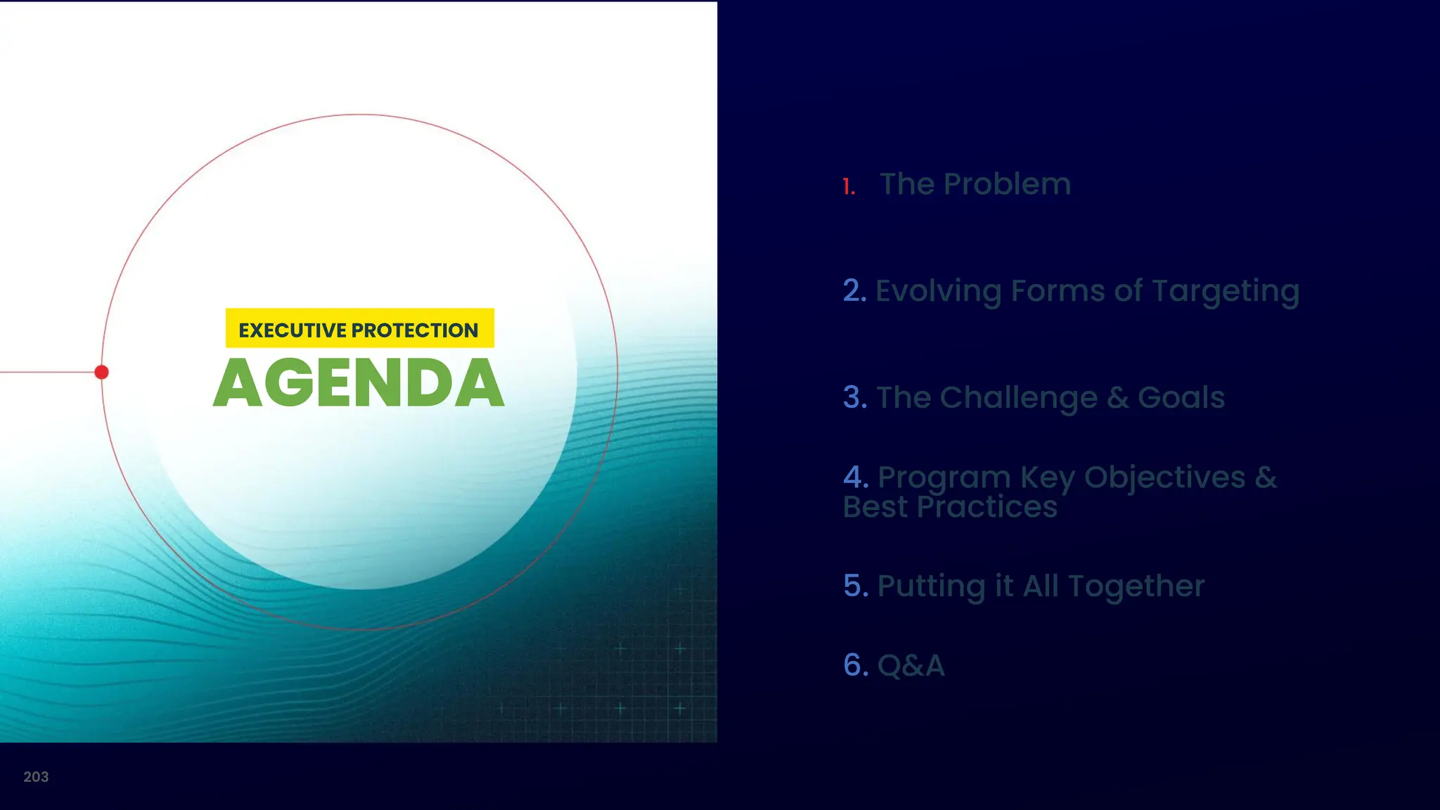 AGENDA
1. The Problem
2. Evolving Forms of Targeting
3. The Challenge & Goals
4. Program Key Objectives &
Best Practices
5. Putting it All Together
6. Q&A
203
EXECUTIVE PROTECTION
 
