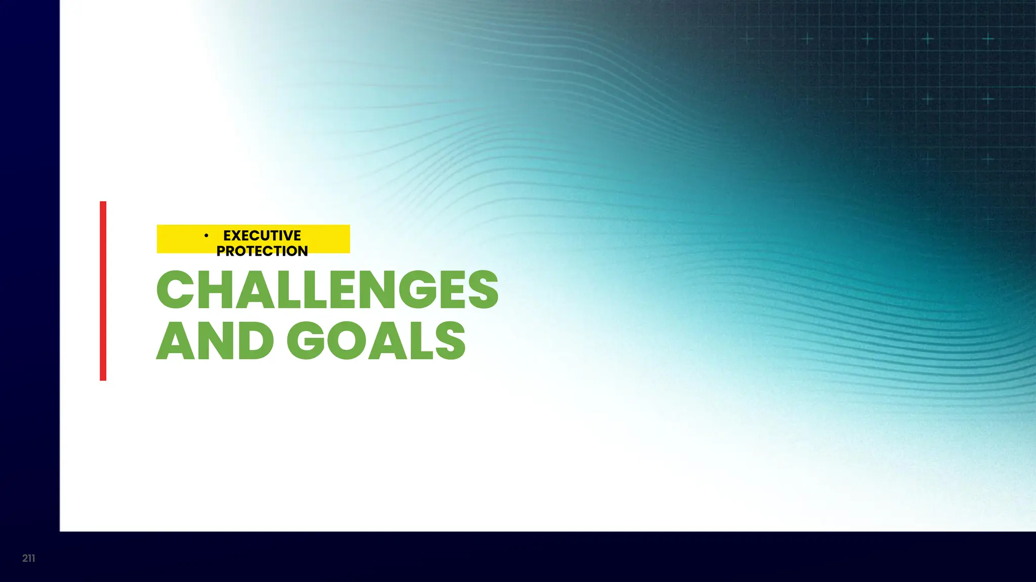 211
CHALLENGES
AND GOALS
• EXECUTIVE
PROTECTION
 