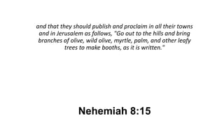 Nehemiah 8:15
and that they should publish and proclaim in all their towns
and in Jerusalem as follows, "Go out to the hills and bring
branches of olive, wild olive, myrtle, palm, and other leafy
trees to make booths, as it is written."
 