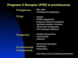 Pregnane X Receptor (PXR) is promiscuous <ul><li>Bile salts </li></ul><ul><li>Cholesterol metabolites </li></ul><ul><li>St...
