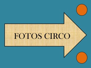 FOTOS CIRCO
 