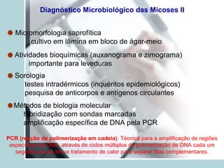 Diagnóstico Microbiológico das Micoses II
Micromorfologia saprofítica
cultivo em lâmina em bloco de ágar-meio
Atividades bioquímicas (auxanograma e zimograma)
importante para leveduras
Sorologia
testes intradérmicos (inquéritos epidemiológicos)
pesquisa de anticorpos e antígenos circulantes
Métodos de biologia molecular
hibridização com sondas marcadas
amplificação específica de DNA pela PCR
PCR (reação de polimerização em cadeia). Técnica para a amplificação de regiões
específicas de DNA, através de ciclos múltiplos de polimerização de DNA cada um
seguido por um breve tratamento de calor para separar fitas complementares.
 