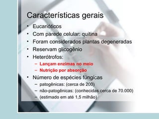 Características gerais
• Eucarióticos
• Com parede celular: quitina
• Foram considerados plantas degeneradas
• Reservam glicogênio
• Heterótrofos:
– Lançam enzimas no meio
– Nutrição por absorção
• Número de espécies fúngicas
– patogênicas: (cerca de 200)
– não-patogênicas: (conhecidas cerca de 70.000)
– (estimado em até 1,5 milhão)
 