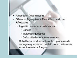 • Amendoim (leguminosa)
• Gêneros Aspergillus e Penicillium produzem
AflotoxinaAflotoxina;
– Ingestão excessiva pode causar:
• Câncer
• Mutações genéticas
• Deformidades em fetos animais
– Substância produzida durante o processo de
secagem quando em contato com o solo onde
encontram-se os fungos.
 