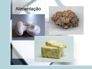 Alimentação
 