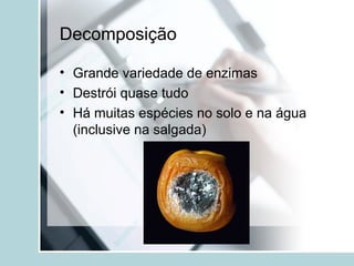 Decomposição
• Grande variedade de enzimas
• Destrói quase tudo
• Há muitas espécies no solo e na água
(inclusive na salgada)
 