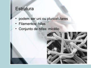 Estrutura
• podem ser uni ou pluricelulares
• Filamentos: hifas
• Conjunto de hifas: micélio
 