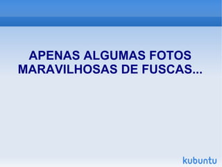 APENAS ALGUMAS FOTOS MARAVILHOSAS DE FUSCAS... 