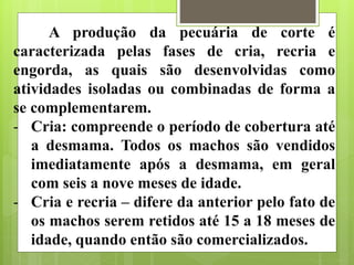 A produção da pecuária de corte é
caracterizada pelas fases de cria, recria e
engorda, as quais são desenvolvidas como
atividades isoladas ou combinadas de forma a
se complementarem.
- Cria: compreende o período de cobertura até
a desmama. Todos os machos são vendidos
imediatamente após a desmama, em geral
com seis a nove meses de idade.
- Cria e recria – difere da anterior pelo fato de
os machos serem retidos até 15 a 18 meses de
idade, quando então são comercializados.
 