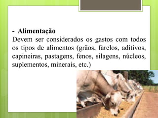 - Alimentação
Devem ser considerados os gastos com todos
os tipos de alimentos (grãos, farelos, aditivos,
capineiras, pastagens, fenos, silagens, núcleos,
suplementos, minerais, etc.)
 