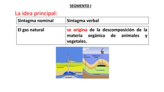 SEGMENTO I
La idea principal:
Sintagma nominal Sintagma verbal
El gas natural se origina de la descomposición de la
materia orgánica de animales y
vegetales.
 