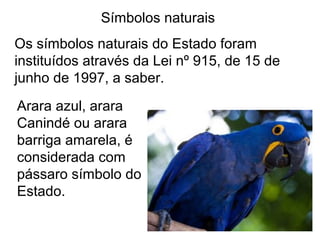 Símbolos naturais
Os símbolos naturais do Estado foram
instituídos através da Lei nº 915, de 15 de
junho de 1997, a saber.
Arara azul, arara
Canindé ou arara
barriga amarela, é
considerada com
pássaro símbolo do
Estado.
 