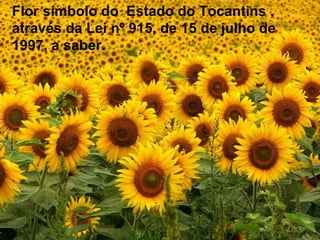Flor símbolo do Estado do Tocantins ,
através da Lei nº 915, de 15 de julho de
1997, a saber.
 