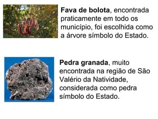 Fava de bolota, encontrada
praticamente em todo os
município, foi escolhida como
a árvore símbolo do Estado.
Pedra granada, muito
encontrada na região de São
Valério da Natividade,
considerada como pedra
símbolo do Estado.
 