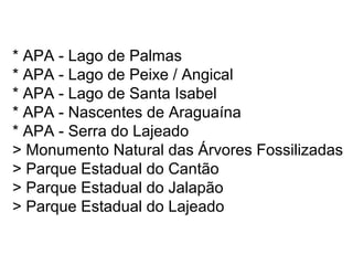 * APA - Lago de Palmas
* APA - Lago de Peixe / Angical
* APA - Lago de Santa Isabel
* APA - Nascentes de Araguaína
* APA - Serra do Lajeado
> Monumento Natural das Árvores Fossilizadas
> Parque Estadual do Cantão
> Parque Estadual do Jalapão
> Parque Estadual do Lajeado
 