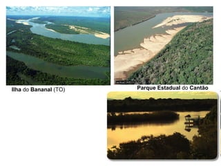 Ilha do Bananal (TO) Parque Estadual do Cantão
 