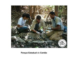 Parque Estadual do Cantão
 
