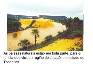 As belezas naturais estão em toda parte, para o
turista que visita a região do Jalapão no estado de
Tocantins.
 