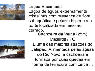 Lagoa Encantada
Lagoa de águas extremamente
cristalinas com presença de flora
subaquática e peixes de pequeno
porte localizada em meio ao
cerrado.
Cachoeira da Velha (25m)
Mateiros / TO
É uma das maiores atrações do
Jalapão. Alimentada pelas águas
do Rio Novo, a cachoeira é
formada por duas quedas em
forma de ferradura com cerca ...
 