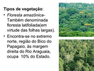 Tipos de vegetação:
• Floresta amazônica-
Também denominada
floresta latifoliada(em
virtude das folhas largas).
• Encontra-se no extremo
norte, região do Bico do
Papagaio, às margem
direita do Rio Araguaia,
ocupa 10% do Estado.
 