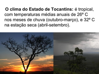 O clima do Estado de Tocantins: é tropical,
com temperaturas médias anuais de 26º C
nos meses de chuva (outubro-março), e 32º C
na estação seca (abril-setembro).
 