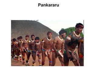 Pankararu
 