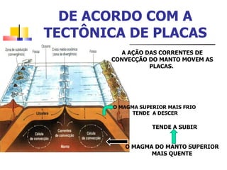 DE ACORDO COM A TECTÔNICA DE PLACAS A AÇÃO DAS CORRENTES DE CONVECÇÃO DO MANTO MOVEM AS PLACAS.  O MAGMA DO MANTO SUPERIOR MAIS QUENTE TENDE A SUBIR O MAGMA SUPERIOR MAIS FRIO  TENDE  A DESCER 