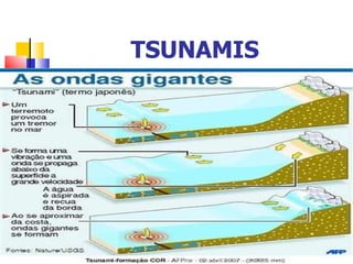 TSUNAMIS 