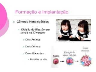 Formação e Implantação
 Gêmeos Monozigóticos
 Divisão do Blastômero
ainda na Clivagem
 Dois Âminos
 Dois Córions
 Duas Placentas
 Fundidas ou não
 
