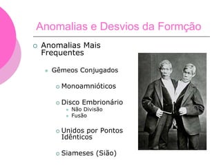  Anomalias Mais
Frequentes
 Gêmeos Conjugados
 Monoamnióticos
 Disco Embrionário
 Não Divisão
 Fusão
 Unidos por Pontos
Idênticos
 Siameses (Sião)
Anomalias e Desvios da Formção
 