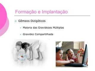 Formação e Implantação
 Gêmeos Dizigóticos
 Maioria das Gravidezes Múltiplas
 Gravidez Compartilhada
 