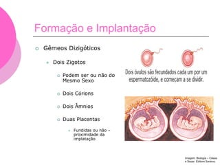  Gêmeos Dizigóticos
 Dois Zigotos
 Podem ser ou não do
Mesmo Sexo
 Dois Córions
 Dois Âmnios
 Duas Placentas
 Fundidas ou não –
proximidade da
implatação
Formação e Implantação
Imagem: Biologia – Césas
e Sezar. Editora Saraiva.
 
