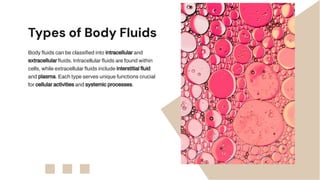 slidesgo-exploring-the-dynamics-and-functions-of-body-fluids-in-human ...