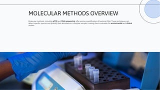 Quant Biological Methods Quantitatuve Methods for Bacterial Cell Enumeration.pdf