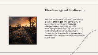 Despite its beneﬁts, biodiversity can also
present challenges. The complexity of
ecosystems may lead to resource
competition among species, and
managing diverse habitats can be costly.
Additionally, biodiversity loss due to
human activities can disrupt ecosystem
services, affecting both nature and human
livelihoods.
Despite its beneﬁts, biodiversity can also
present challenges. The complexity of
ecosystems may lead to resource
competition among species, and
managing diverse habitats can be costly.
Additionally, biodiversity loss due to
human activities can disrupt ecosystem
services, affecting both nature and human
livelihoods.
Disadvantages of Biodiversity
Disadvantages of Biodiversity
 