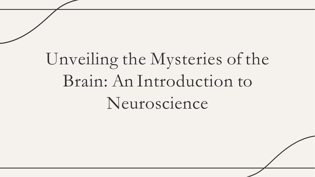 Introduction To Human Neuroimaging | University Press & Assessment
