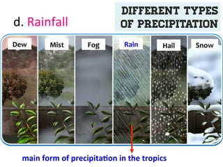 d.	
  Rainfall	
  
Dew	
   Mist	
   Fog	
   Rain	
   Hail	
   Snow	
  
different types
of Precipitation
main	
  form	
  of	
  precipita7on	
  in	
  the	
  tropics	
  
 
