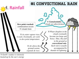 d.	
  Rainfall	
  
①	
  Earth’s surface is intensely
heated up by the sun’s energy
②	
  Air above the
ground warms,
expands & rises.
③	
  As water vapour rises,
it cools. Eventually, air cools
to dew point temperature.
	
  	
  	
  	
  ④	
  Cumulonimbus
clouds are often formedDew point reached:
condensation occurs
➙ clouds form
⑤	
  Water droplets in the
clouds eventually
become too large and
heavy. Thus, they fall
to the ground as
convectional rain.
Such rain is usually
accompanied by
thunder & lightning.
#1 Convectional rain
 