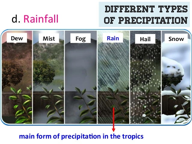 ch 2 gw 1 slides part 1 is fog a form of precipitation