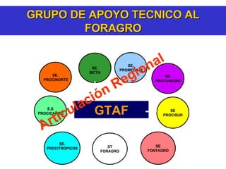 GRUPO DE APOYO TECNICO AL FORAGRO SE. PROCINORTE SE PROCISUR SE. SICTA GTAF SE. PROCITROPICOS SE FONTAGRO SE. PROMECAFE E.S PROCICARIBE ST FORAGRO SE. PROCIANDINO Articulación Regional 