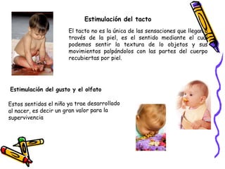Estimulación del tacto
                       El tacto no es la única de las sensaciones que llegan a
                       través de la piel, es el sentido mediante el cual
                       podemos sentir la textura de lo objetos y sus
                       movimientos palpándolos con las partes del cuerpo
                       recubiertas por piel.




Estimulación del gusto y el olfato

Estos sentidos el niño ya trae desarrollado
al nacer, es decir un gran valor para la
supervivencia
 