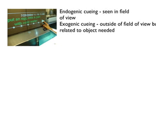 Endogenic cueing - seen in ?eld
of view
Exogenic cueing - outside of ?eld of view bu
related to object needed
 