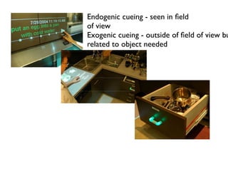 Endogenic cueing - seen in ?eld
of view
Exogenic cueing - outside of ?eld of view bu
related to object needed
 