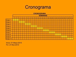 Cronograma 